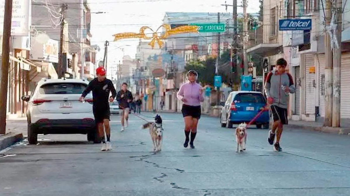 Atletas corriendo con sus mascotas